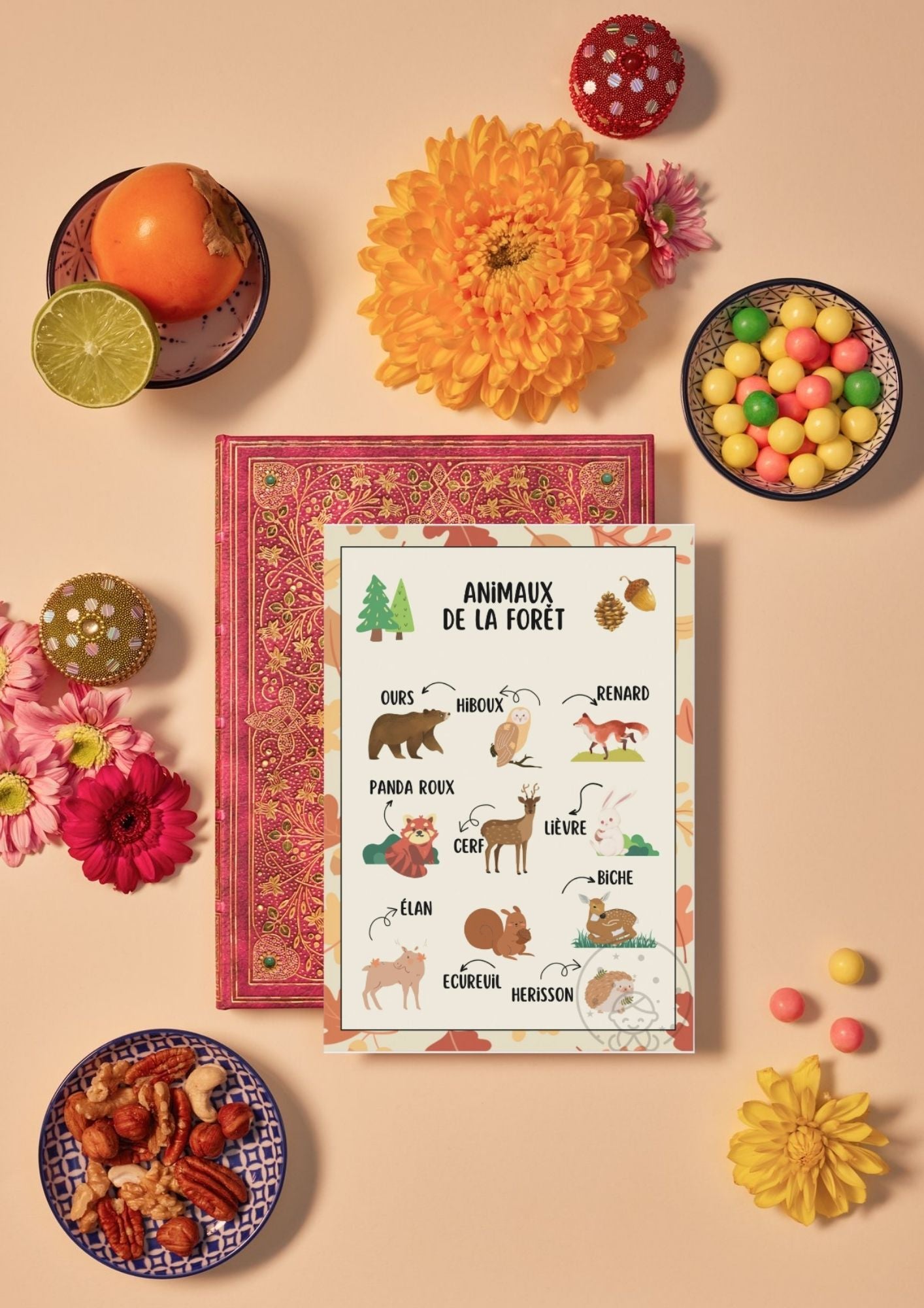 Abécédaire/Imagier Les Animaux de la Forêt ⎥Affiche éducative