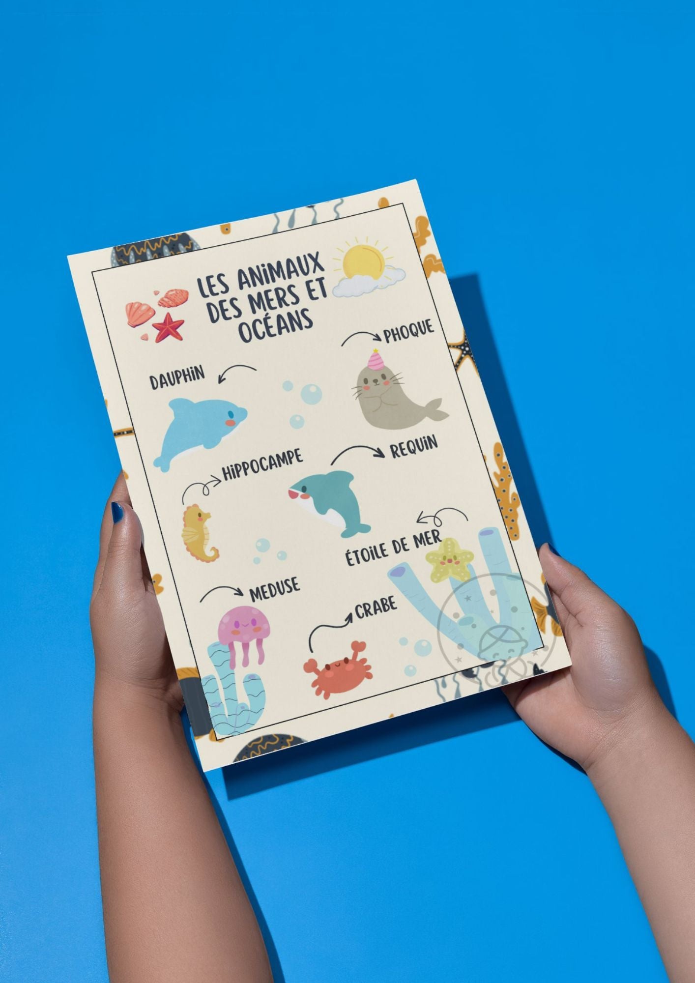 Abécédaire/Imagier Les Animaux des mers et Océans⎥Affiche éducative