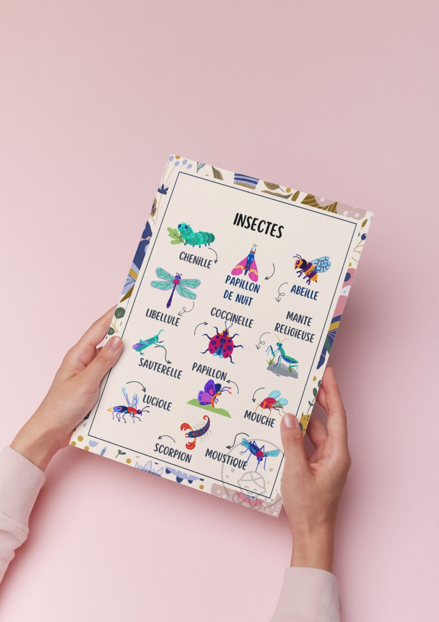 Abécédaire/Imagier Les Insectes⎥Affiche éducative