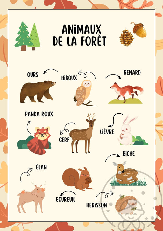 Abécédaire/Imagier Les Animaux de la Forêt ⎥Affiche éducative