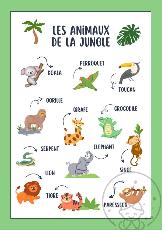 Abécédaire/Imagier Les Animaux de la Jungle⎥Affiche éducative