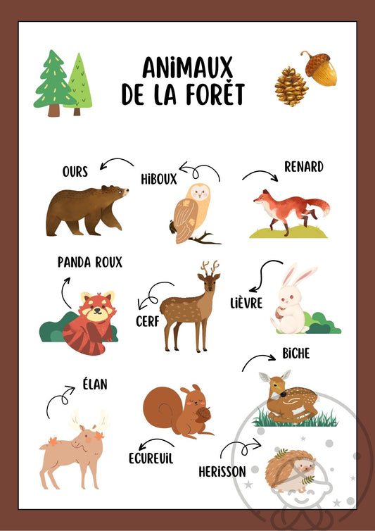 Abécédaire/Imagier Les Animaux de la Forêt ⎥Affiche éducative