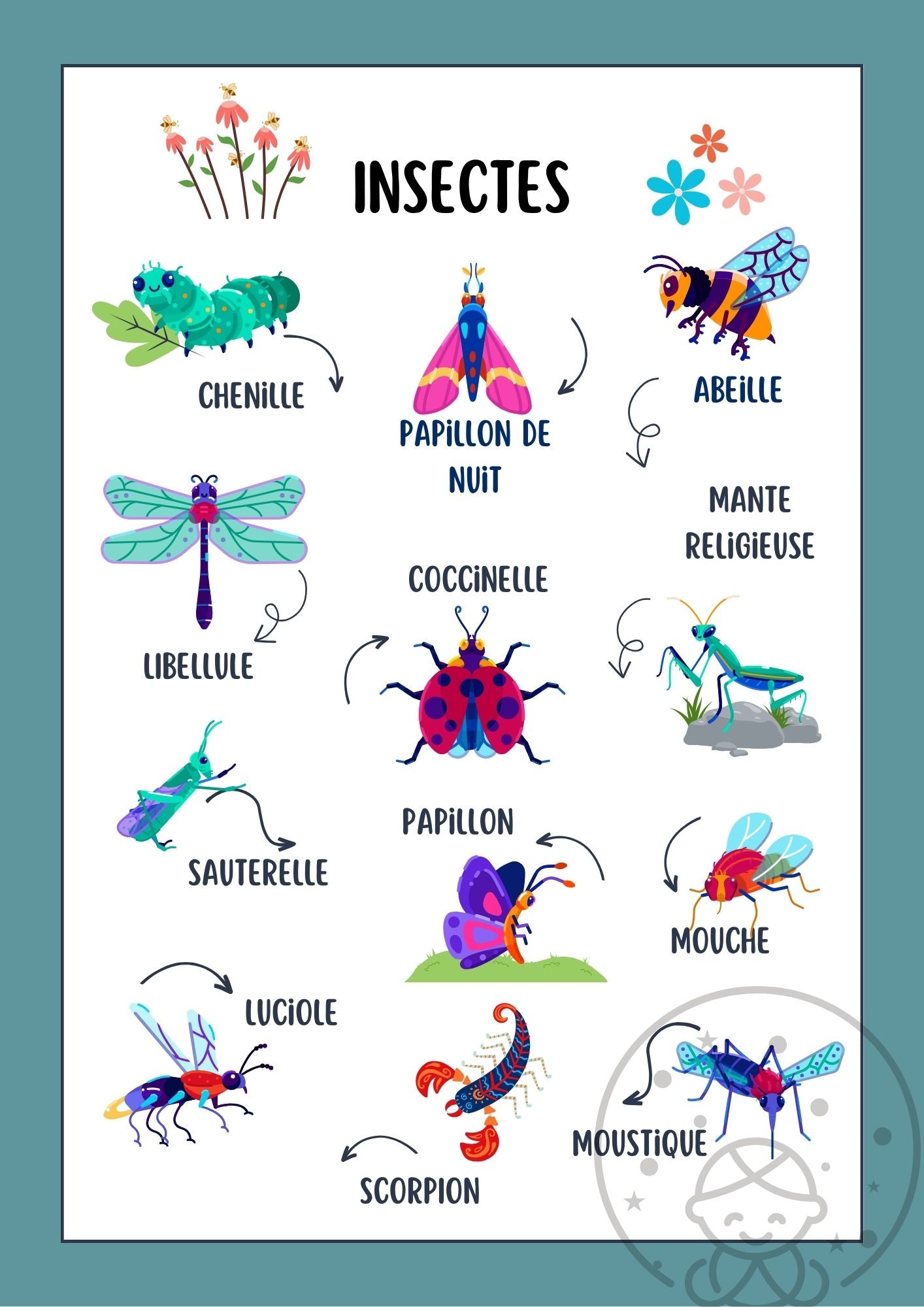 Abécédaire/Imagier Les Insectes⎥Affiche éducative